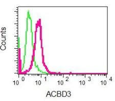 Flow Cytometry (Intracellular) - Anti-ACBD3 antibody [EPR8623] - BSA and Azide free (AB248750)