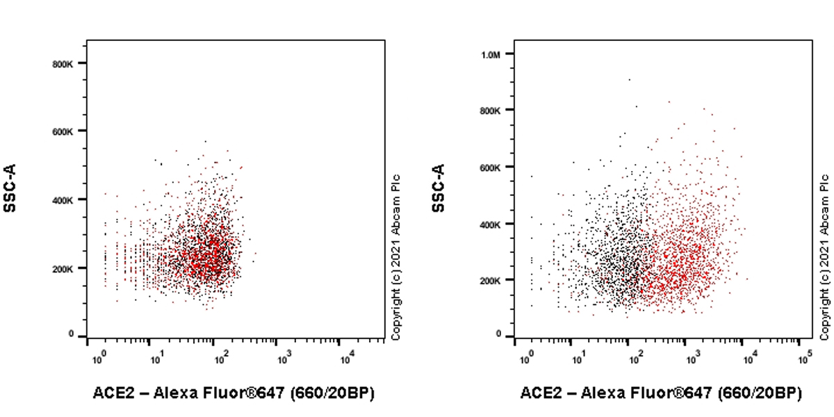 Flow Cytometry - Anti-ACE2 antibody [EPR24705-45] - BSA and Azide free (AB282118), expandable thumbnail