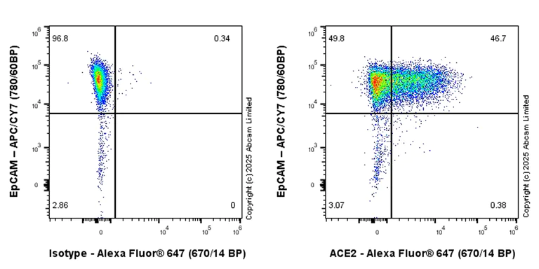Flow Cytometry - Anti-ACE2 antibody [EPR29937-577] (AB325333)