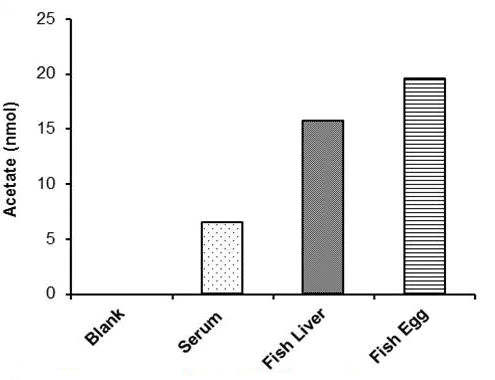 Functional Studies - Acetate Assay Kit (Colorimetric) (AB204719)