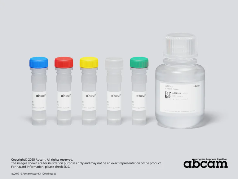 Schematic Diagram - Acetate Assay Kit (Colorimetric) (AB204719)