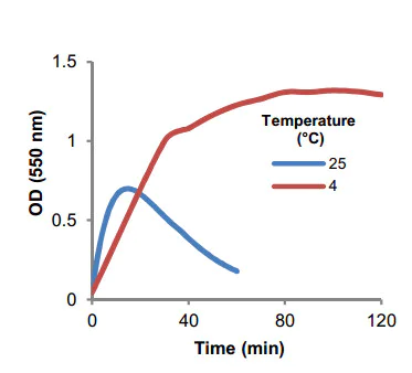 Functional Studies - Acetoacetate Assay Kit (Colorimetric) (AB180875)