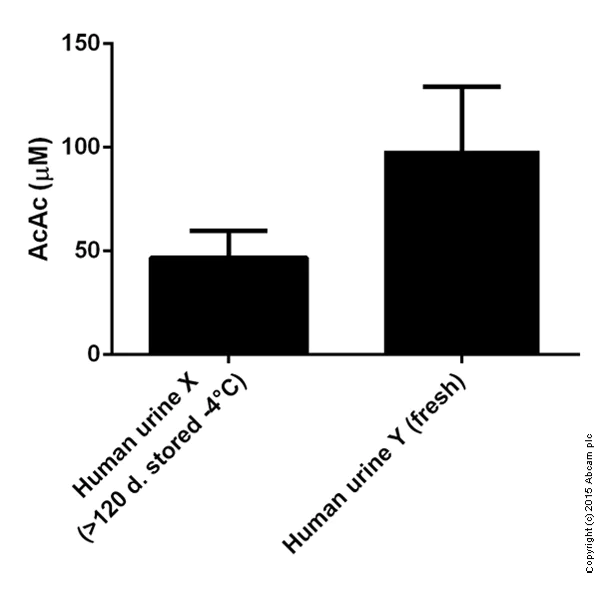 Functional Studies - Acetoacetate Assay Kit (Colorimetric) (AB180875)