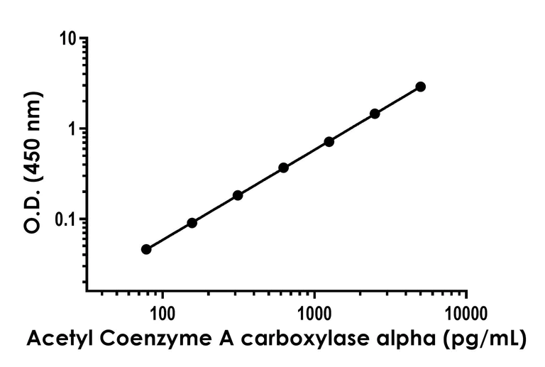 Sandwich ELISA - Anti-Acetyl Coenzyme A carboxylase alpha antibody [EPR23236-21] - BSA and Azide free (Detector) (AB285148)