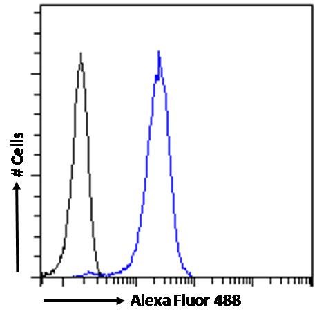 Flow Cytometry - Anti-Acetylcholinesterase antibody (AB31276), expandable thumbnail