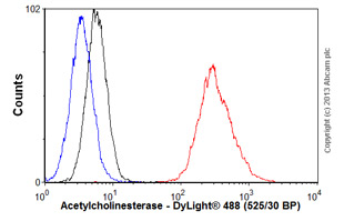 Flow Cytometry - Anti-Acetylcholinesterase antibody [HR2] (AB2803)