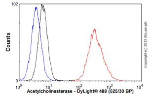 Flow Cytometry - Anti-Acetylcholinesterase antibody [HR2] (AB2803)