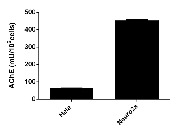 Functional Studies - Acetylcholinesterase Assay Kit (Colorimetric) (AB138871)