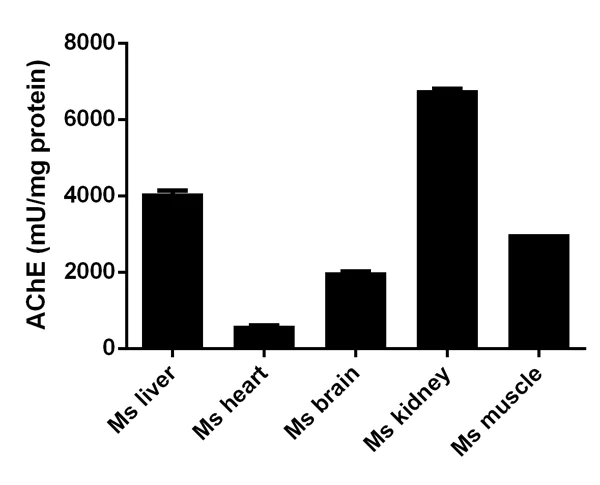 Functional Studies - Acetylcholinesterase Assay Kit (Colorimetric) (AB138871)