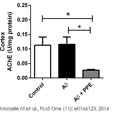 Functional Studies - Acetylcholinesterase Assay Kit (Colorimetric) (AB138871)