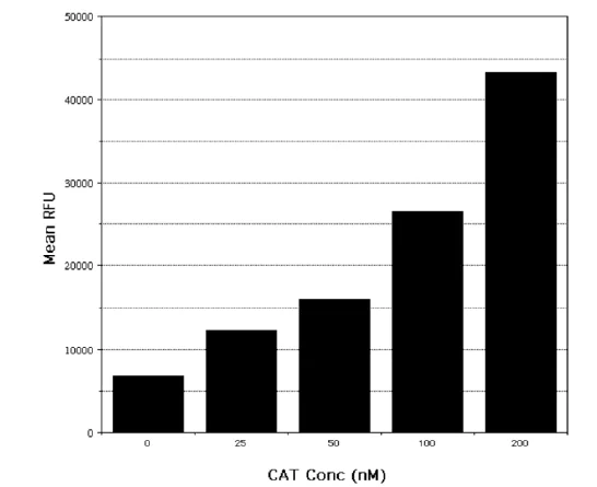 Functional Studies - Acetyltransferase Activity Assay Kit (Fluorometric) (AB204536)