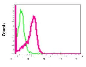 Flow Cytometry (Intracellular) - Anti-Acid phosphatase/ACP1 antibody [EPR9839] (AB166896)