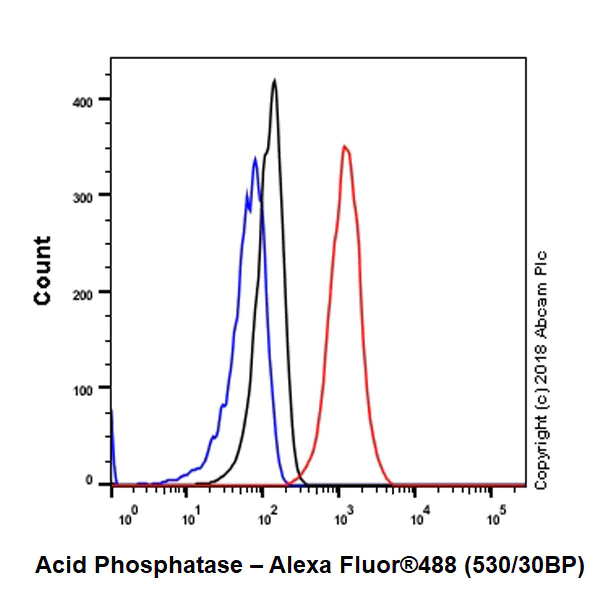 Flow Cytometry (Intracellular) - Anti-Acid phosphatase antibody [EPR21787] - BSA and Azide free (AB238888)