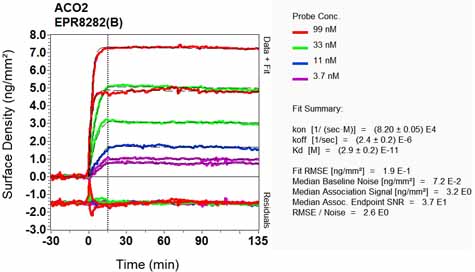 OI-RD Scanning - Anti-Aconitase 2 antibody [EPR8282(B)] (AB129069), expandable thumbnail