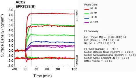 OI-RD Scanning - Anti-Aconitase 2 antibody [EPR8282(B)] (AB129069)
