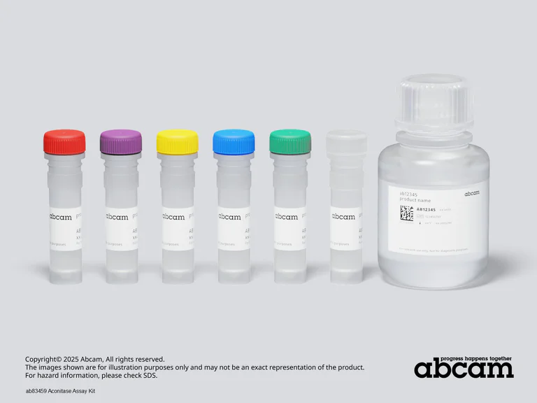 Schematic Diagram - Aconitase Assay Kit (AB83459)