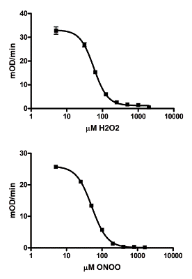 ELISA - Aconitase Assay Kit (Colorimetric) (AB109712), expandable thumbnail