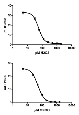ELISA - Aconitase Assay Kit (Colorimetric) (AB109712)