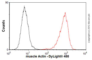 Flow Cytometry (Intracellular) - Anti-ACTC1 antibody [EP184E] (AB46805)