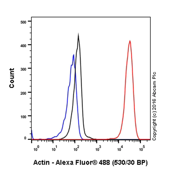 Flow Cytometry (Intracellular) - Anti-Actin antibody [EPR16769] - BSA and Azide free (AB219733)