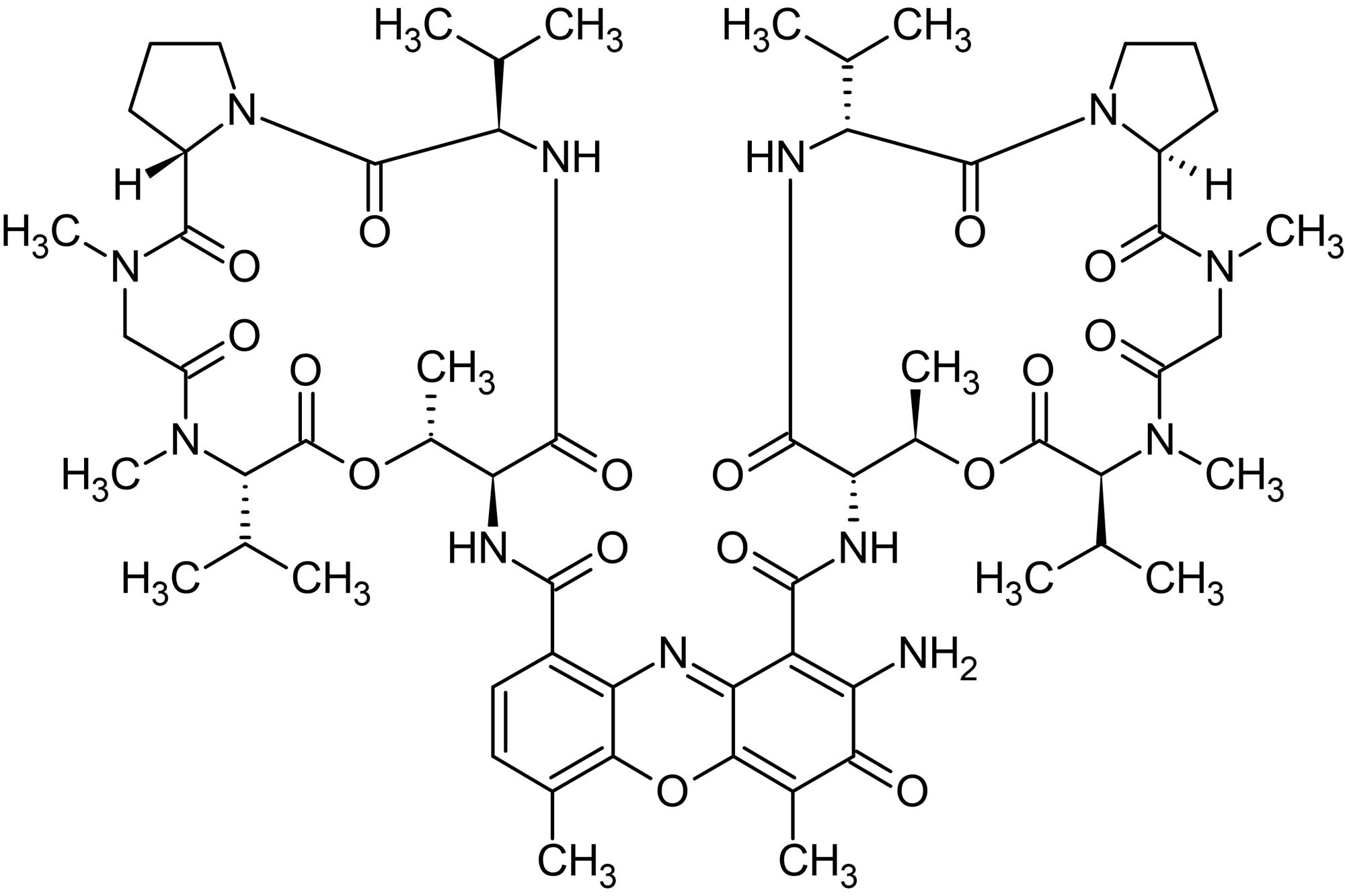 Actinomycin D (Dactinomycin), Nucleic acid and protein synthesis inhibitor