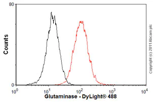 Flow Cytometry - Anti-Activin Receptor Type IIB/ACVR2B antibody [1C11] (AB76940)
