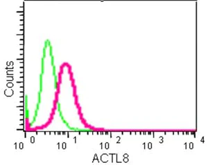 Flow Cytometry (Intracellular) - Anti-ACTL8 antibody [EPR13912] (AB184562)