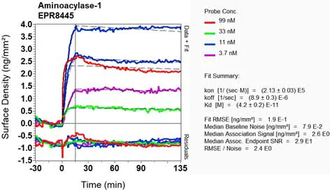 OI-RD Scanning - Anti-ACY-1 antibody [EPR8445] - BSA and Azide free (AB248584)