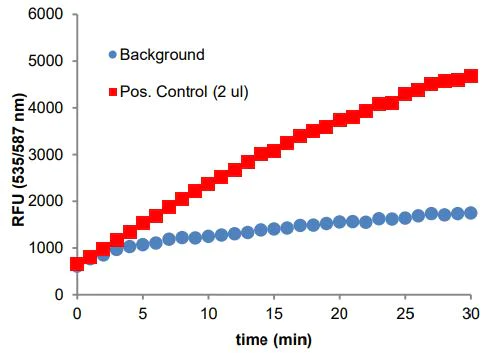 Functional Studies - Acyl-CoA Synthetase Assay Kit (Fluorometric) (AB273315)