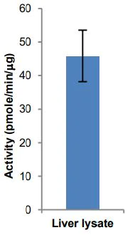 Functional Studies - Acyl-CoA Synthetase Assay Kit (Fluorometric) (AB273315)