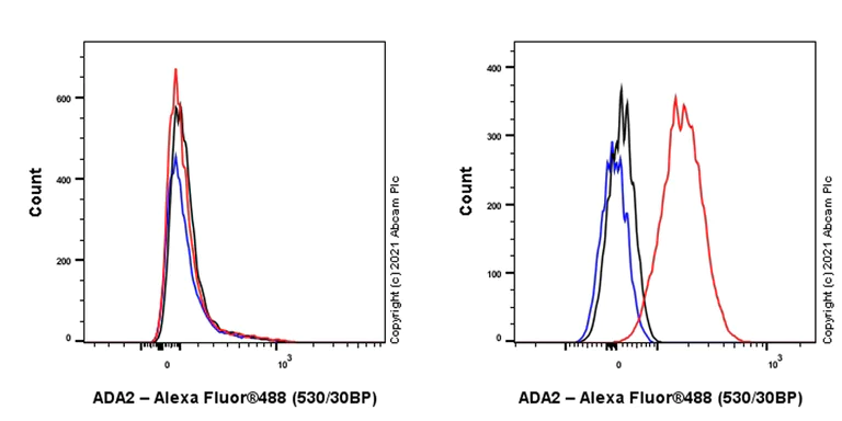 Flow Cytometry (Intracellular) - Anti-ADA2 antibody [EPR25430-131] - BSA and Azide free (AB288305)