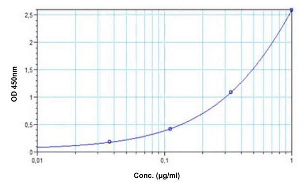 Indirect ELISA - Adalimumab ELISA Kit (AB237641)