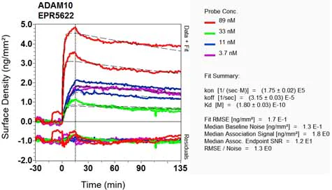 OI-RD Scanning - Anti-ADAM10 antibody [EPR5622] (AB124695)