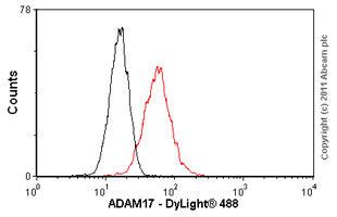 Anti-ADAM17 antibody [1F6] Mouse monoclonal (ab57484) | Abcam