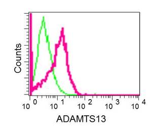 Flow Cytometry (Intracellular) - Anti-ADAMTS13 antibody [EPR6132] - BSA and Azide free (AB250014)