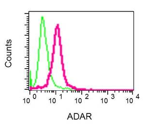 Flow Cytometry (Intracellular) - Anti-ADAR1 antibody [EPR7033] (AB126745), expandable thumbnail