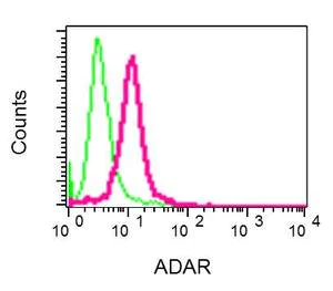 Flow Cytometry (Intracellular) - Anti-ADAR1 antibody [EPR7033] - BSA and Azide free (AB240029)