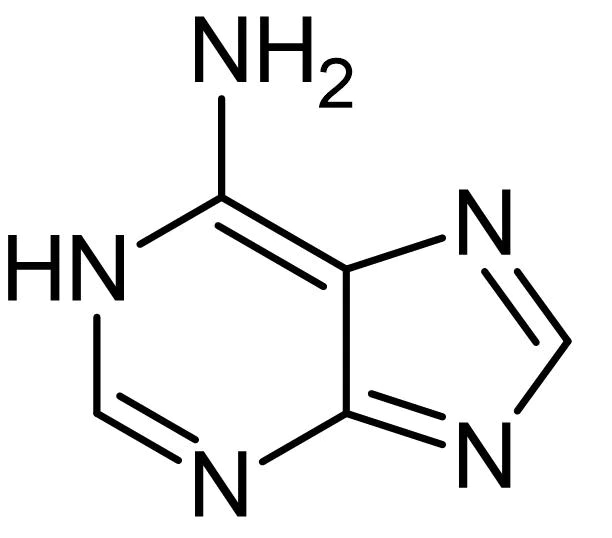 Chemical Structure - Adenine, adenine receptor agonist (AB142393)