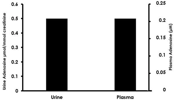 Functional Studies - Adenosine Assay Kit (Fluorometric) (AB211094)