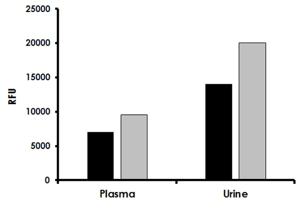 Functional Studies - Adenosine Assay Kit (Fluorometric) (AB211094)