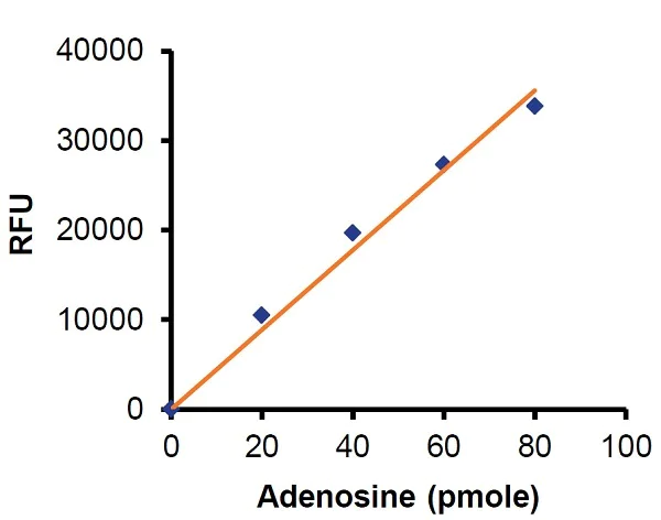 Functional Studies - Adenosine Assay Kit (Fluorometric) (AB211094)