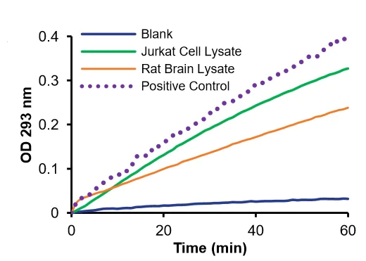 Functional Studies - Adenosine Deaminase (ADA) Activity Assay Kit (Colorimetric) (AB211093)