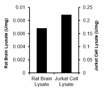 Functional Studies - Adenosine Deaminase (ADA) Activity Assay Kit (Colorimetric) (AB211093)