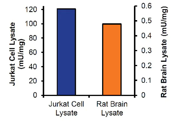 Functional Studies - Adenosine Deaminase (ADA) Activity Assay Kit (Fluorometric) (AB204695)