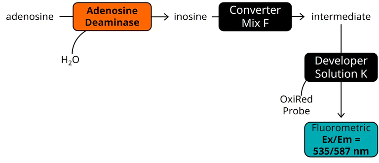 Functional Studies - Adenosine Deaminase (ADA) Activity Assay Kit (Fluorometric) (AB204695)