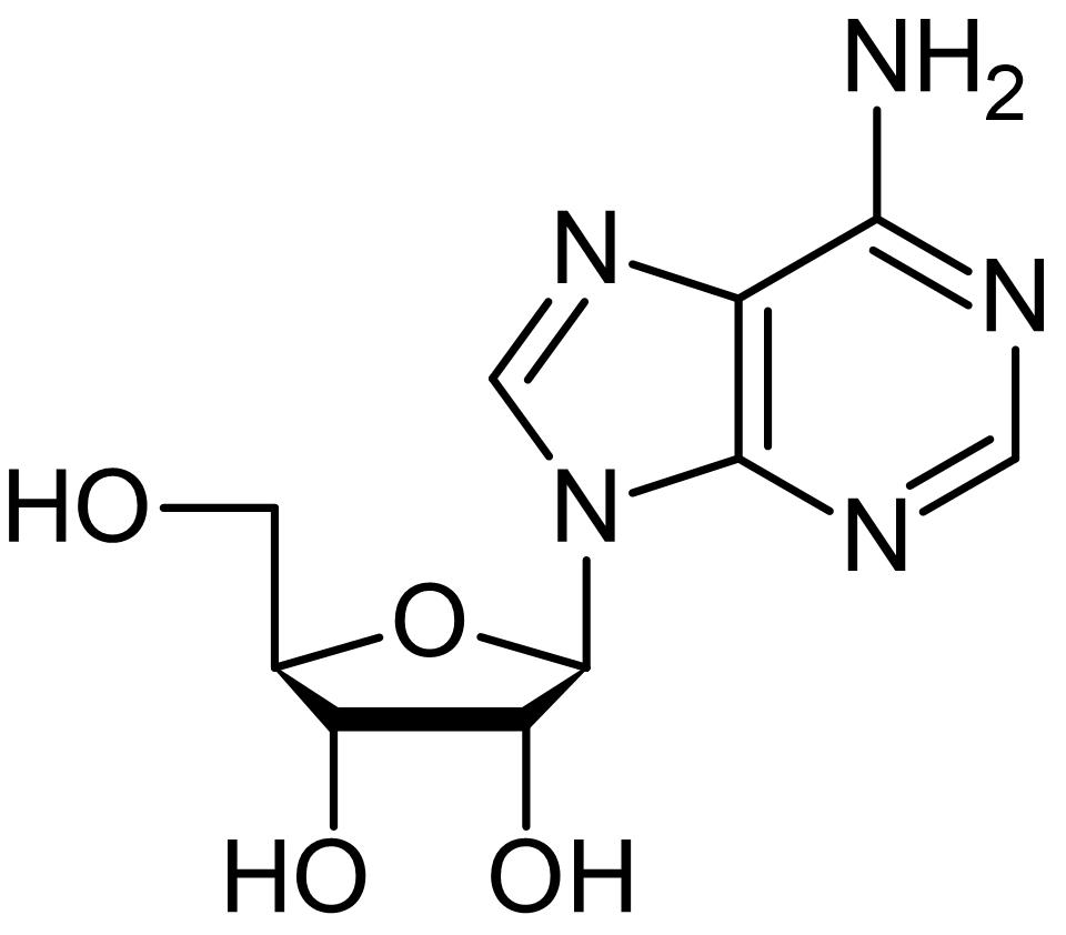 Chemical Structure - Adenosine, Endogenous P1 receptor agonist (AB120498), expandable thumbnail