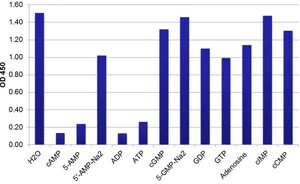 ELISA - Anti-Adenosine phosphate antibody [EPR8471] (AB140604)