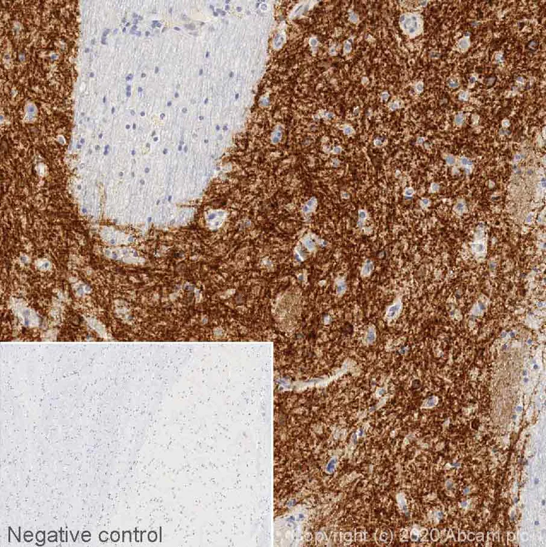 あおの APC anti-human Lineage Cocktail (CD3, CD14, CD19, CD20, CD56)