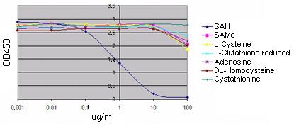 Competitive ELISA - Anti-Adenosyl Homocysteine antibody [EPR4499] - BSA and Azide free (AB168537)