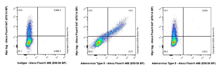 Flow Cytometry (Intracellular) - Anti-Adenovirus Type 5 Hexon antibody [EPR28237-57] - BSA and Azide free (AB316853)